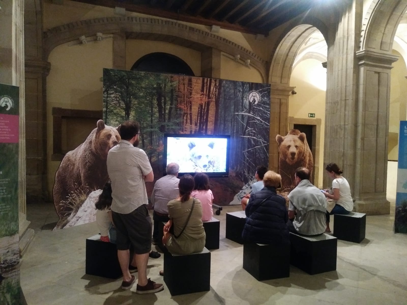 La exposición itinerante ‘Vivir con osos’ alarga su estancia en la Colegiata San Juan Bautista de Gijón hasta el 15 de agosto